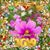 Jeong Lee's profile image