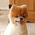 Carole Cavanah's profile image