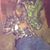 Robert E Jarrett's profile image