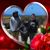 Stacey Garcia's profile image