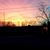 Marilyn Bostelman's profile image