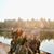 Laura Gomez Gonzalez's profile image