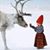 Cook Vigliotti Debra's profile image