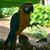 Michelle Barboza's profile image