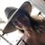 Cristina Pereira Henriques's profile image