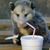 Joe Gahn's profile image