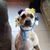 Kristina Nowak's profile image