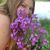 Grace Scobee's profile image