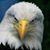 Brian Farris's profile image