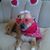 Sue Dunn's profile image