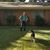 Andrew Roesch's profile image
