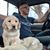 Dalton James Frederick Luke's profile image