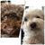 Danise Anderson Manning's profile image