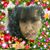 Beatriz Lara's profile image