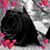 Maria Rodriguez's profile image