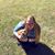 Lauren Burdett's profile image