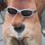 Vasilis Kurtesoglu's profile image