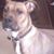 Carolyn Jackson's profile image