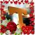 Anna June Jambor's profile image
