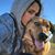 Raina Benoit's profile image