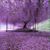 Sharon Kathy Musgrove's profile image