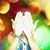 Carlos Donati's profile image