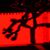Dana M. Lindley-spence's profile image