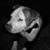 Esseeohteetee MickCoremick's profile image