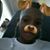 Ck Sucesso's profile image
