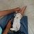 Linda Netterville's profile image