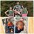 Dawn Shope's profile image