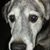 Clint Walker's profile image