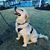 Mark Reisinger's profile image