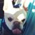 Cheryl Davis's profile image