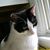Donna Kuhr's profile image