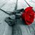 Denise Irene's profile image
