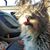 Paula Rogers's profile image