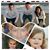 Debbie Knipper-Basel's profile image