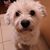 Jennifer Laura Wood's profile image