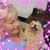 Cynthia Eldridge Menas's profile image
