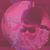Austin Islam's profile image