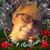 Sandra Caldwell Griggs's profile image