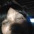 Lorri Oliver's profile image
