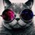 Shirley Sparks Brashears's profile image