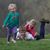 Joyce Stearns's profile image