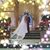Susanna Scroggs's profile image
