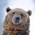 Rick Strothman's profile image