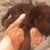 Rachael Grubb Webb's profile image