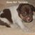 Janet Lawless's profile image