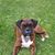Rosalie Ketter's profile image